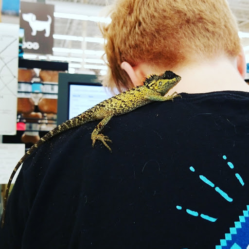 Pet Supply Store «Pet Supplies Plus», reviews and photos, 2180 Dixie Hwy, Fort Mitchell, KY 41017, USA