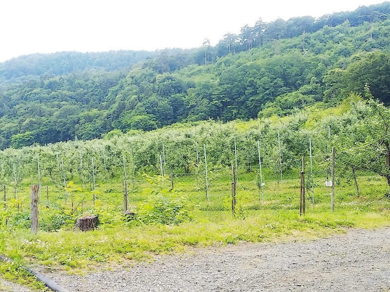 朝島観光りんご園