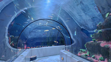 Aquarium Québec