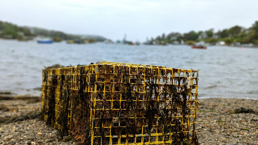 Nature Preserve «Johnson Field Preserve at Mackerel Cove», reviews and photos, 25 Abner Point Rd, Bailey Island, ME 04003, USA