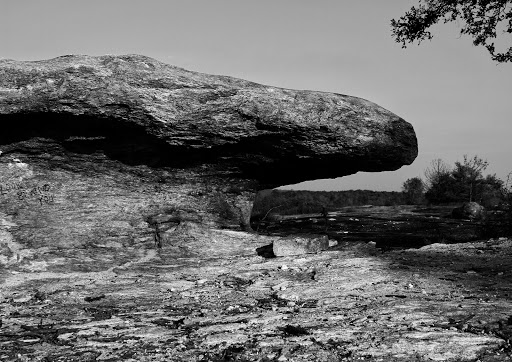 Nature Preserve «Davidson-Arabia Nature Preserve», reviews and photos, 3787 Klondike Rd, Lithonia, GA 30038, USA