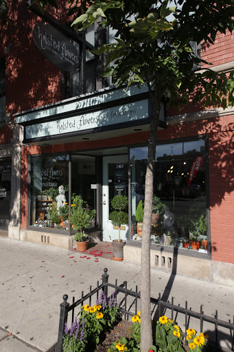 Halsted Flowers, LLC, 2725 N Halsted St, Chicago, IL 60614, USA, 