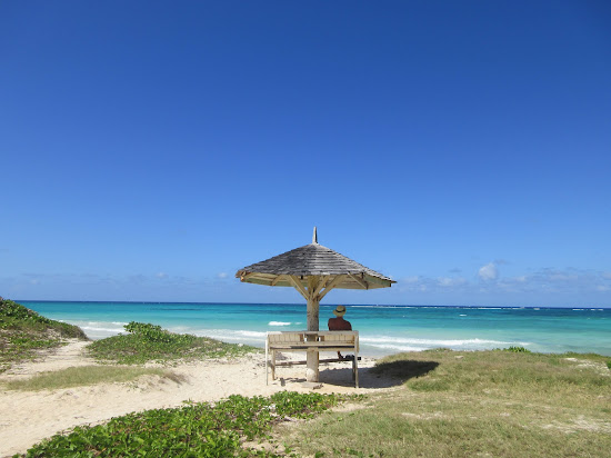 Silver Sands beach