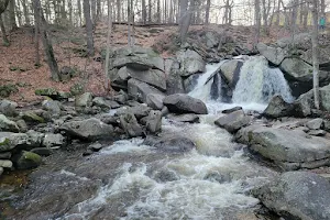 Willard Brook State Forest image