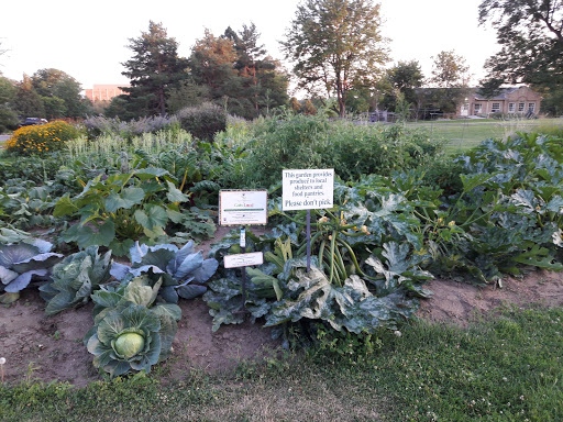 Golf Course «Harvard Gulch Golf Course», reviews and photos, 660 E Iliff Ave, Denver, CO 80210, USA