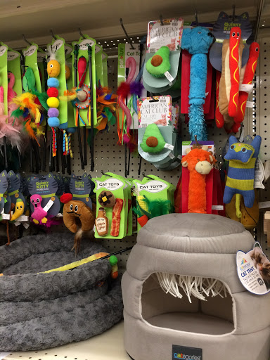 Discount Store «Big Lots», reviews and photos, 1998 FL-44, New Smyrna Beach, FL 32168, USA