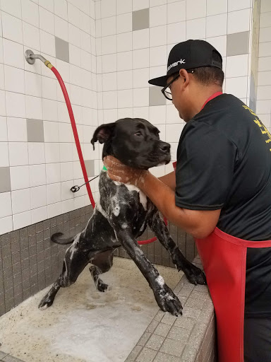 Pet Supply Store «Pet Food Express», reviews and photos, 372 Woodside Rd, Redwood City, CA 94061, USA