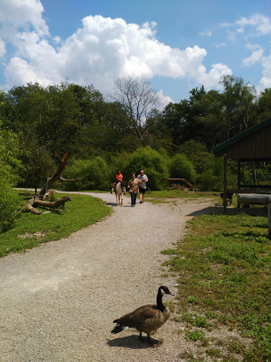 Zoo «Living Treasures Animal Park», reviews and photos, 288 PA-711, Jones Mills, PA 15646, USA