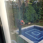 Photo n°2 de l'avis de Moraes.o fait le 28/11/2023 à 10:52 sur le  Hotel Lido à Estoril
