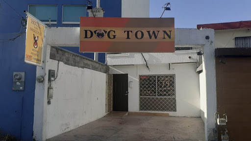 Dogtown hotel & spa