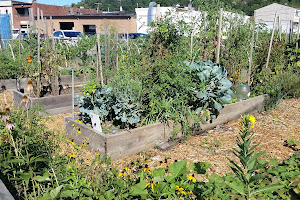 Sharpsburg Community Garden