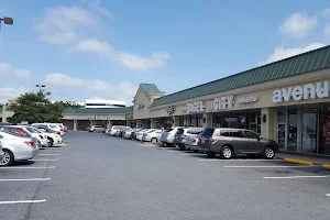 Montrose Crossing Shopping Center image