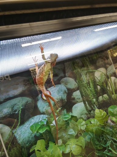 Pet Supply Store «Petco Animal Supplies», reviews and photos, 3636 Harrison Ave b, Butte, MT 59701, USA