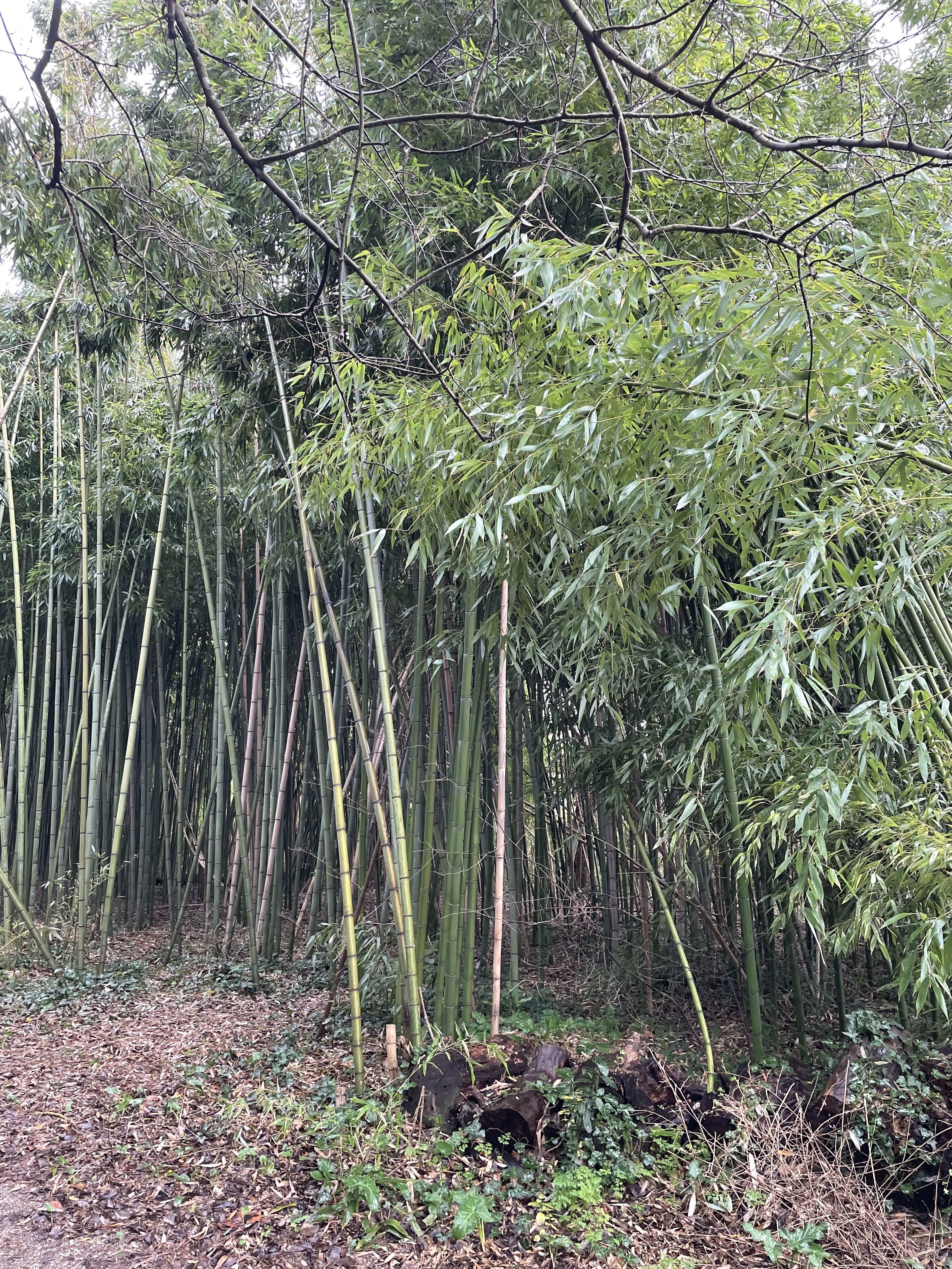 Photo n° 1 de l'avis de Lou. fait le 01/01/2024 à 13:45