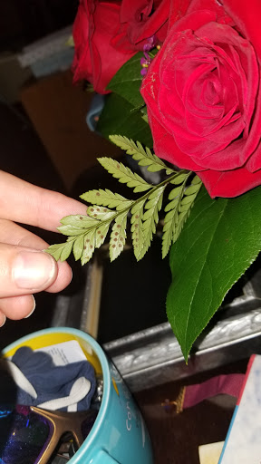 Florist «City Line Florist», reviews and photos, 2978 Nichols Ave, Trumbull, CT 06611, USA