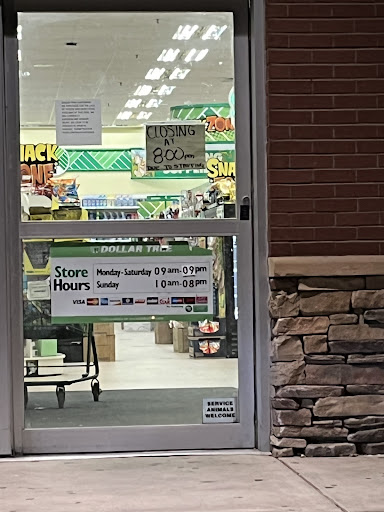 Dollar Store «Dollar Tree», reviews and photos, 1455 Peachtree Pkwy, Cumming, GA 30041, USA
