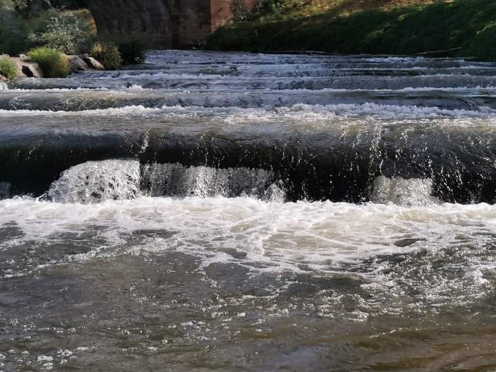 Photo n° 24 de l'avis de Gérard.e fait le 10/07/2023 à 17:30