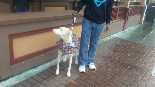 Coffee Shop «Starbucks», reviews and photos, 326 5th St, Eureka, CA 95501, USA