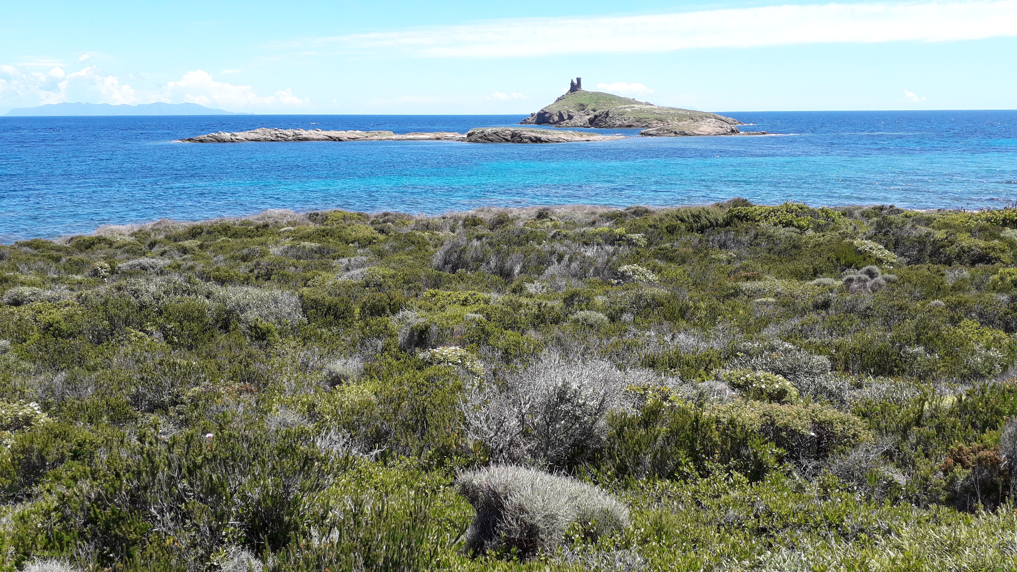 Photo n° 4 de l'avis de Laurent.R fait le 30/06/2019 à 14:32