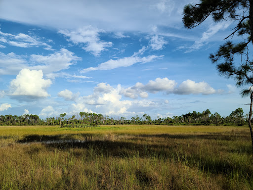 Nature Preserve «Big Cypress National Preserve», reviews and photos