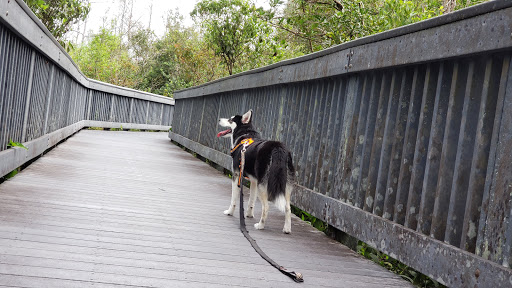 Nature Preserve «Woodmont Natural Area», reviews and photos, 7250 NW 80th Pl, Pompano Beach, FL 33321, USA