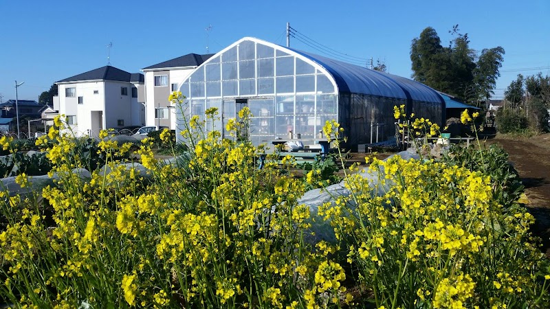 体験農園 清水菜々園