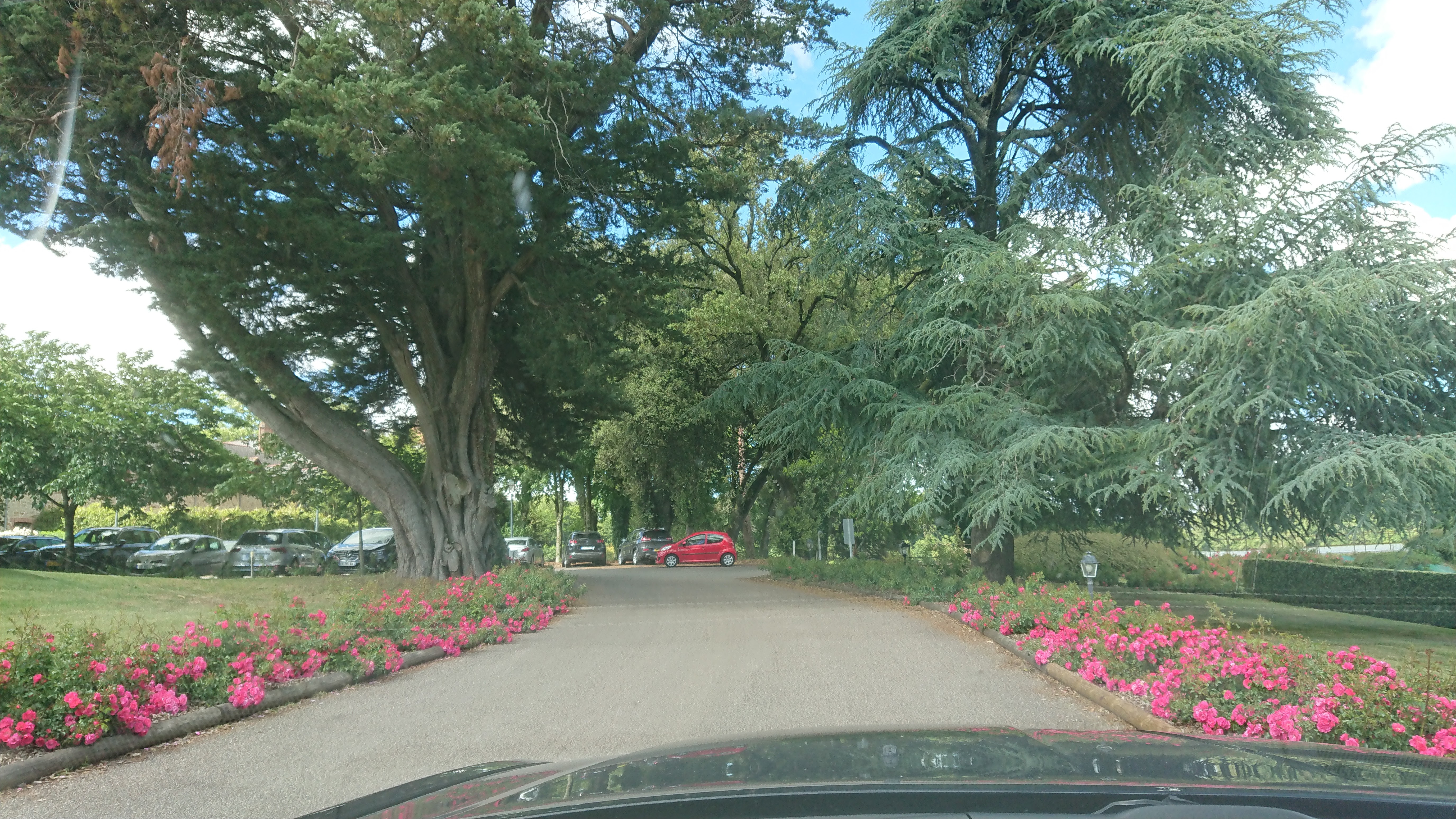 Photo n° 8 de l'avis de Will.a fait le 15/06/2019 à 16:19