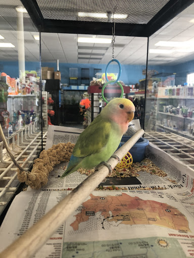 Pet Supply Store «Chico Pet Works & Pet Salon», reviews and photos, 2201 Pillsbury Rd # 186, Chico, CA 95926, USA