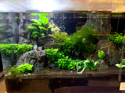 Pet Supply Store «Pet Supreme», reviews and photos, 12823 Foothill Blvd, Sylmar, CA 91342, USA