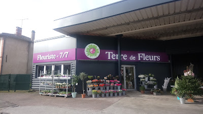 Terre de Fleurs Caussade - Interflora à Caussade
