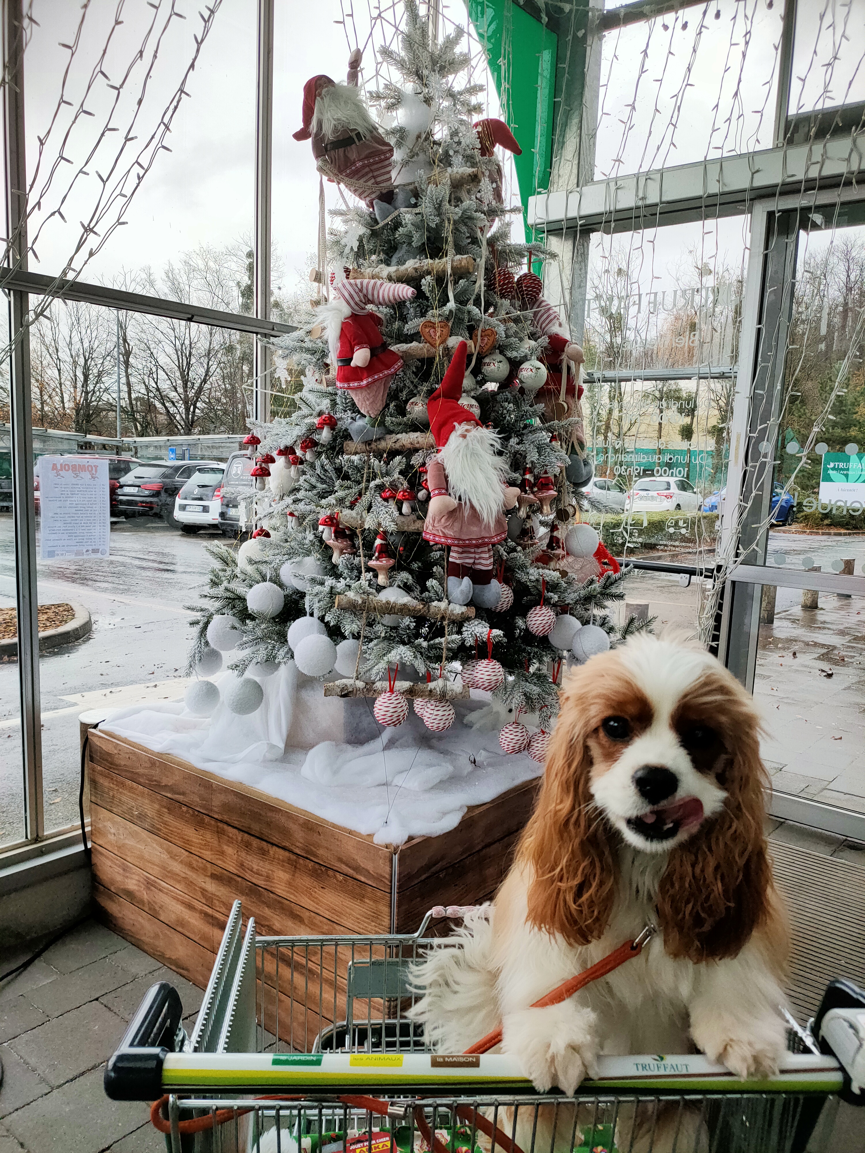Photo n° 1 de l'avis de christine.a fait le 01/12/2021 à 15:29