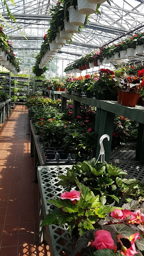 Garden Center «Westminster Nursery & Florist», reviews and photos, 30 Westminster Rd, West Hempstead, NY 11552, USA