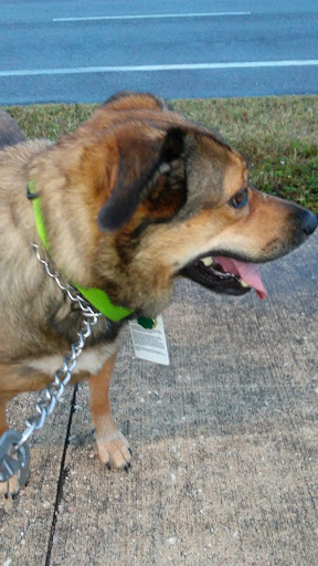 Car Dealer «Volvo of Tampa», reviews and photos, 6008 N Dale Mabry Hwy, Tampa, FL 33614, USA