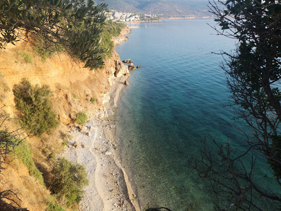 Tapia beach