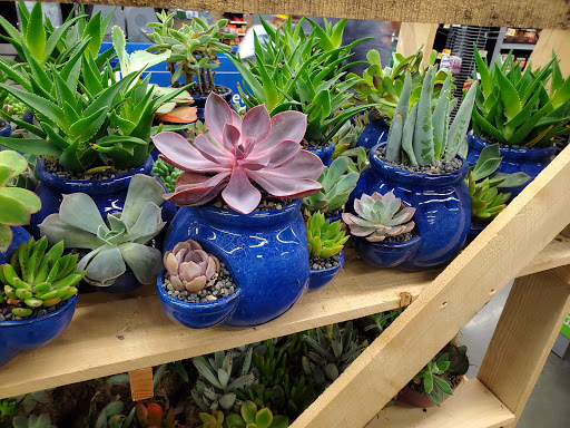 Supermarket «Walmart Neighborhood Market», reviews and photos, 5110 Yelm Hwy SE, Lacey, WA 98503, USA