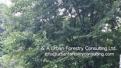 P & A Urban Forestry Consulting Ltd.