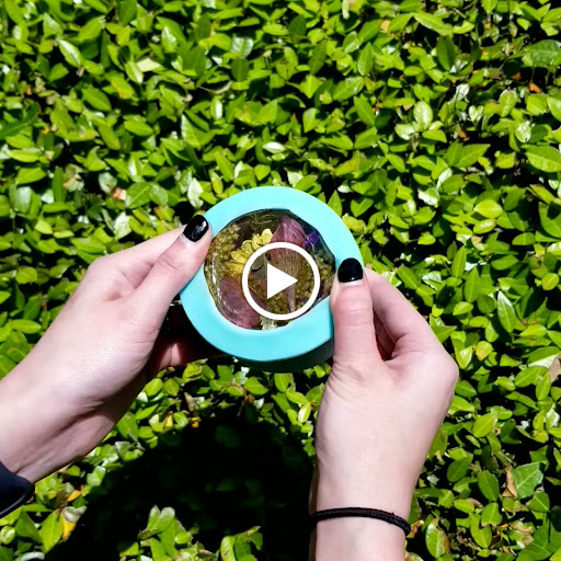 Jewelry Designer «Flowers Forever», reviews and photos, 2769 Rosewood Dr, Columbia, SC 29205, USA