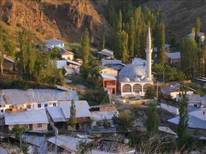 Çamlıca Köyü Camii