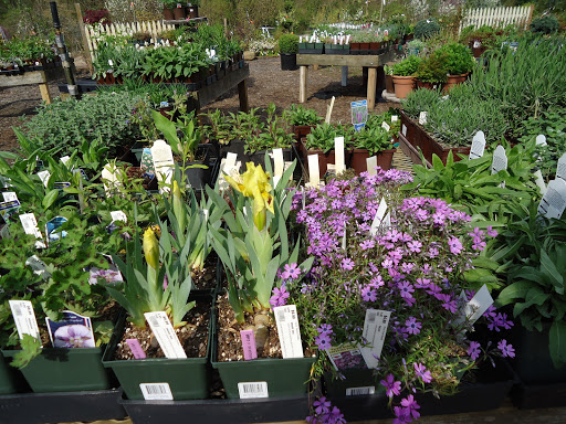 Garden Center «Town & Country Nurseries», reviews and photos, 1036 Saybrook Rd, Haddam, CT 06438, USA