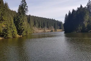 Lower Grumbach Pond image