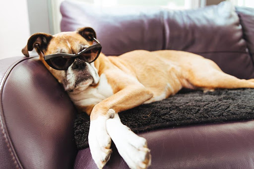 Eye Care Center «Specs Appeal», reviews and photos, 844 Grand Ave, St Paul, MN 55105, USA