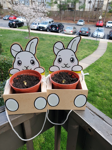 Home Improvement Store «The Home Depot», reviews and photos, 6210 Seven Corners Center, Falls Church, VA 22044, USA