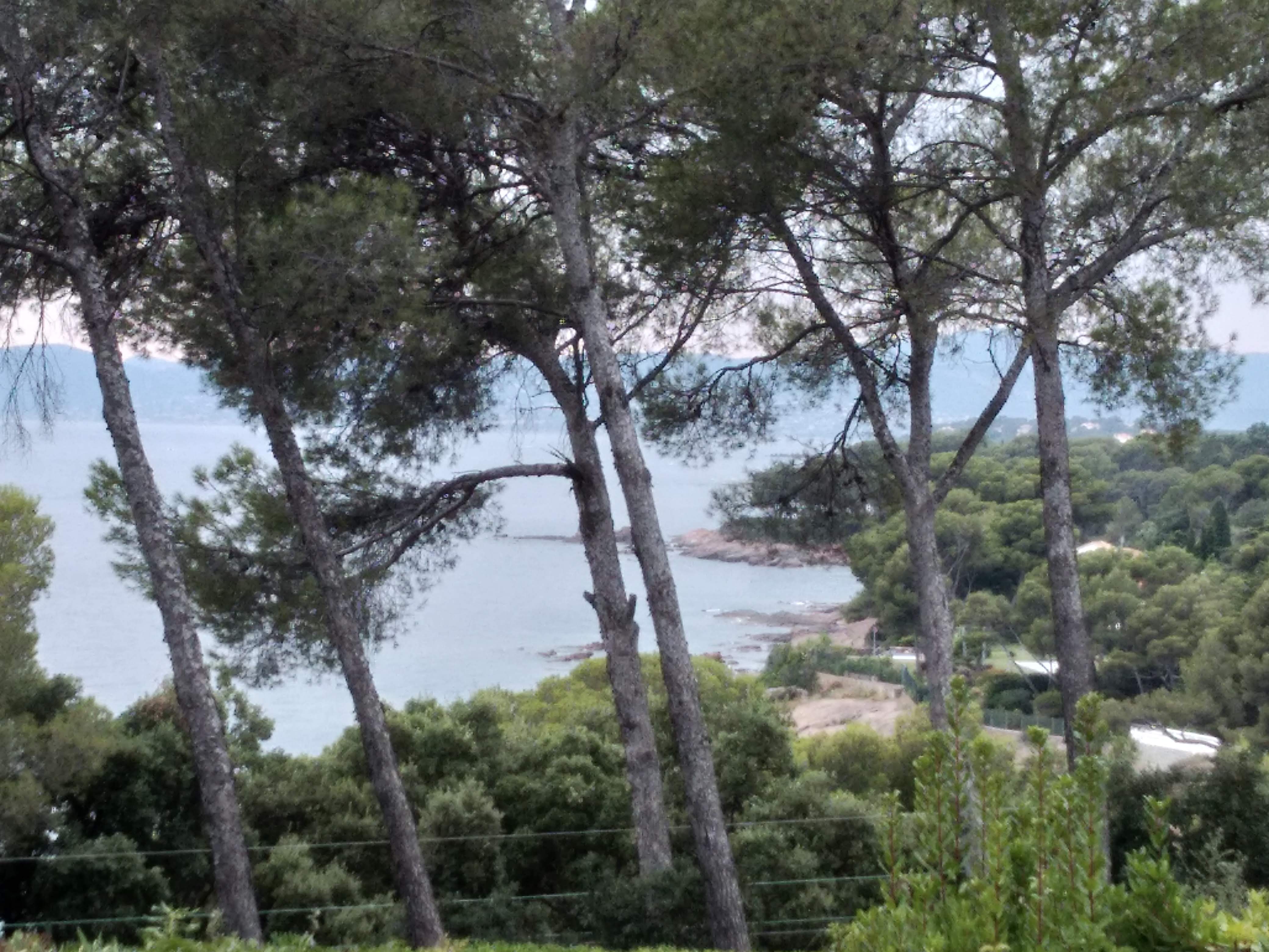 Photo n° 1 de l'avis de renald.m fait le 10/08/2018 à 21:21