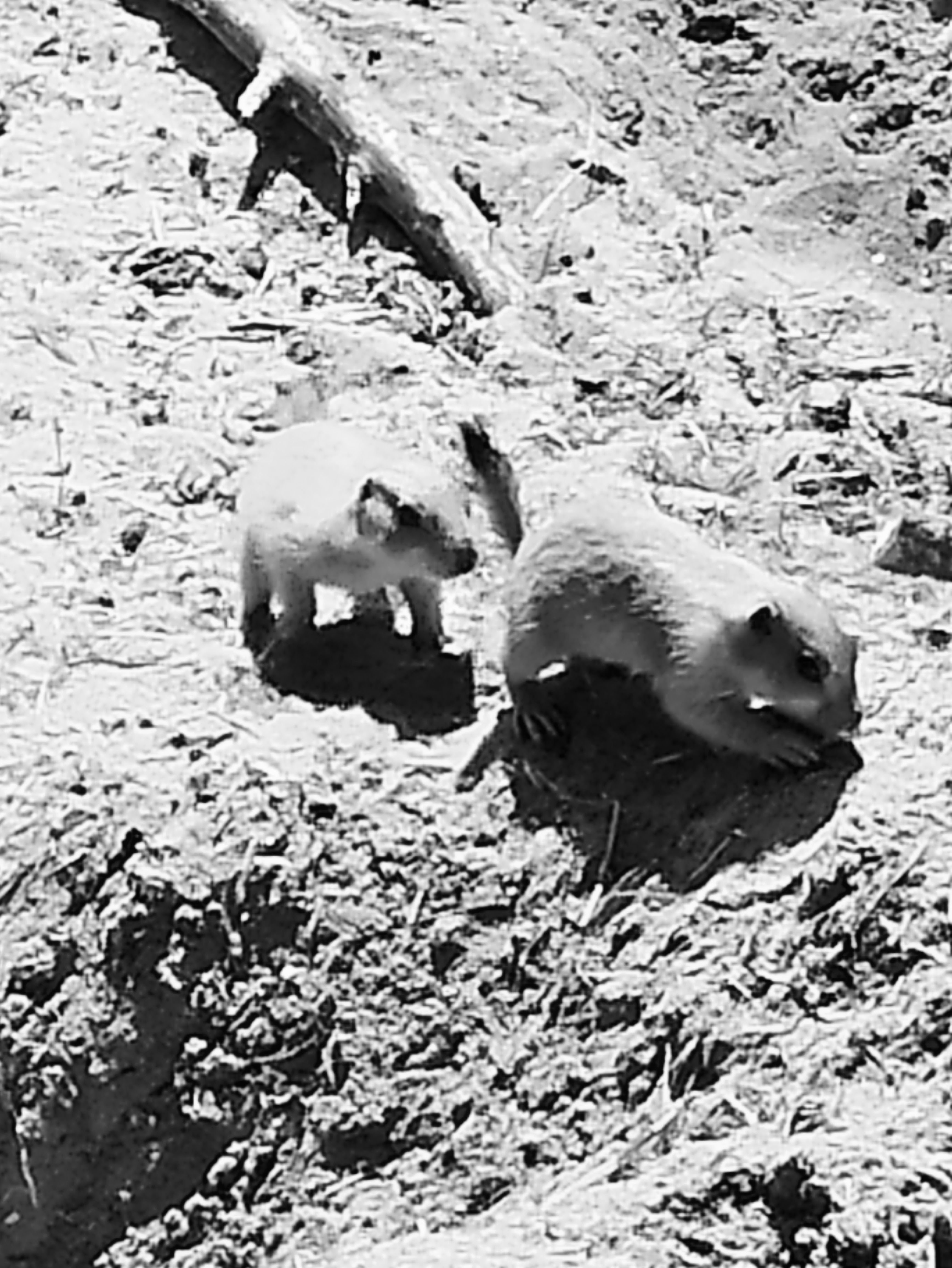 Photo n° 1 de l'avis de Johannes.o fait le 21/02/2019 à 14:04