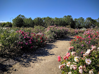 Guadalupe Gardens Heritage Rose Garden