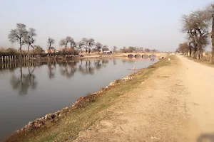 Jhang Branch Canal image