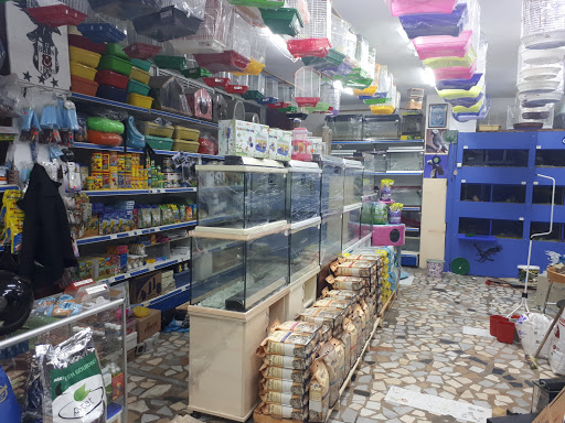 Gursel PetShop | Kağıthane İstanbul - Evcil Hayvan Malzemeleri Mağazası