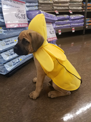 Pet Supply Store «Pet Supplies Plus», reviews and photos, 15060 Eureka Rd, Southgate, MI 48195, USA