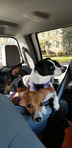 Pet Supply Store «Petco Animal Supplies», reviews and photos, 1215-1309 NJ-33 #1, Hamilton Township, NJ 08690, USA