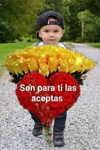 Shopping Mall «Woodmoor Shopping Center», reviews and photos, 10115 Colesville Rd, Silver Spring, MD 20901, USA